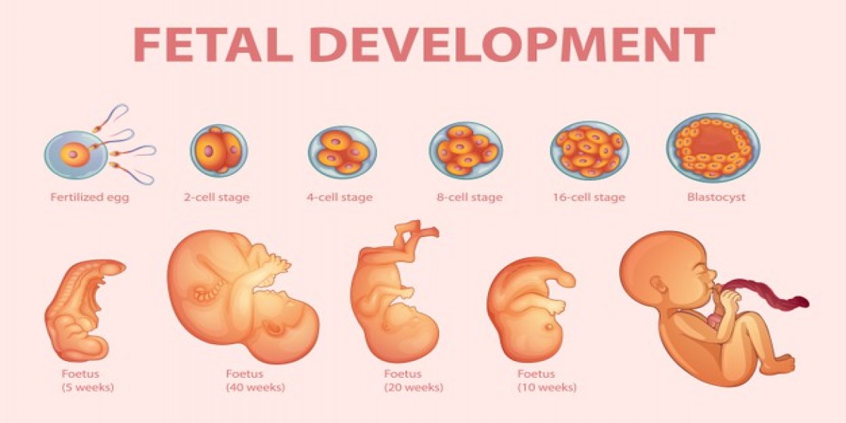normal presentation of fetus is called